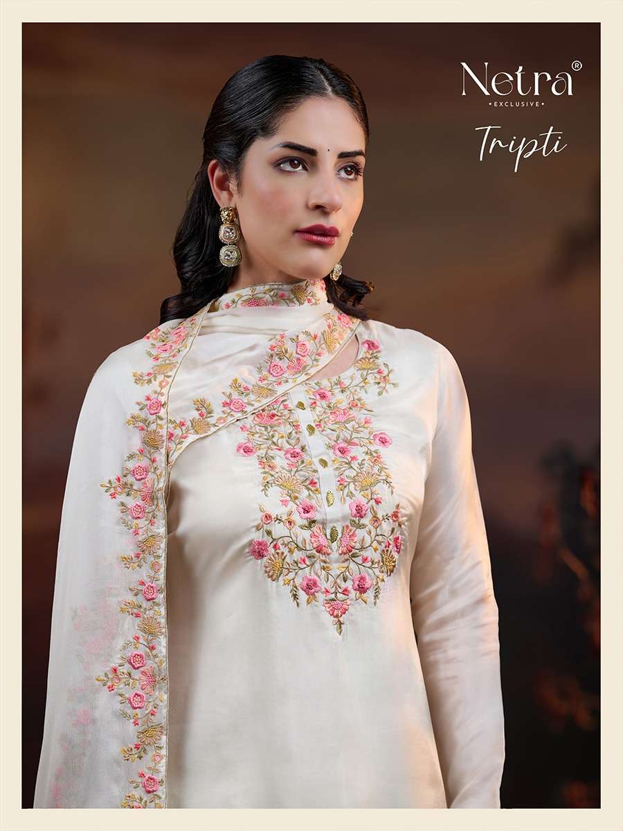 tripti by netra 1027 colors bemberg silk embroidered salwar kameez wholesale price surat