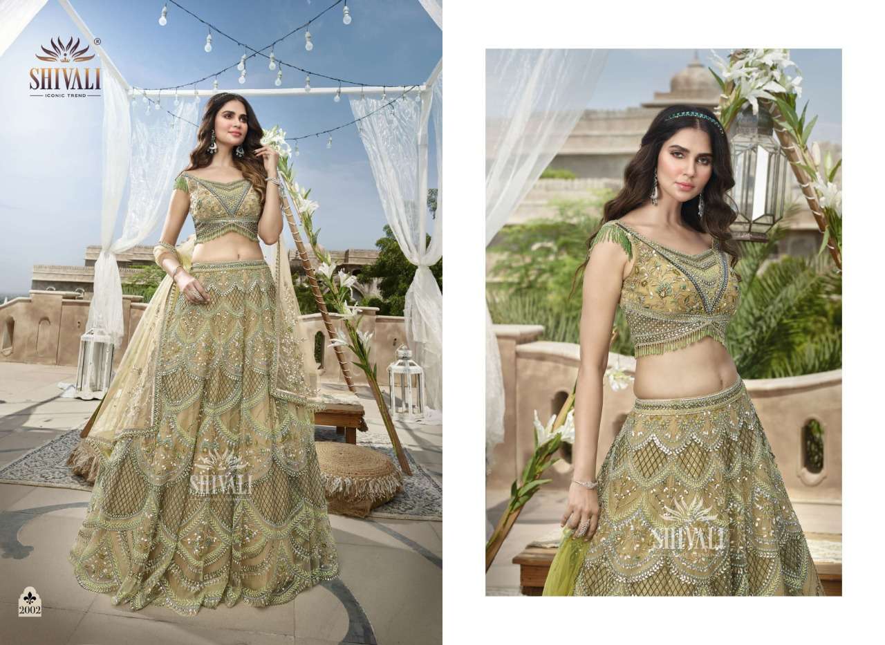 ETHER GREY HAZE LEHENGA – Kala Shree Regalia