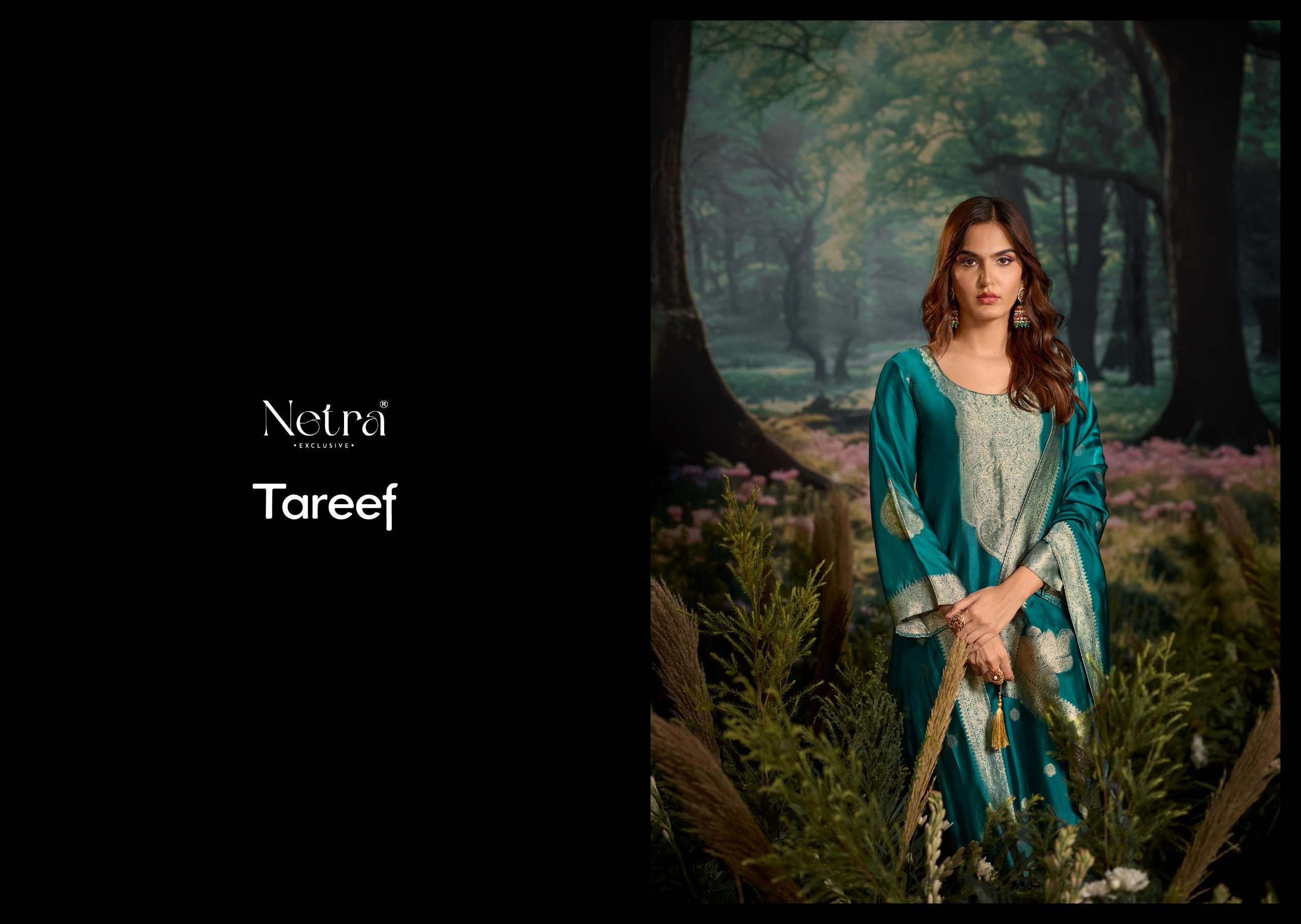 netra by tareef 14001-14006 series digital print with material latest catalogue collection surat gujarat 