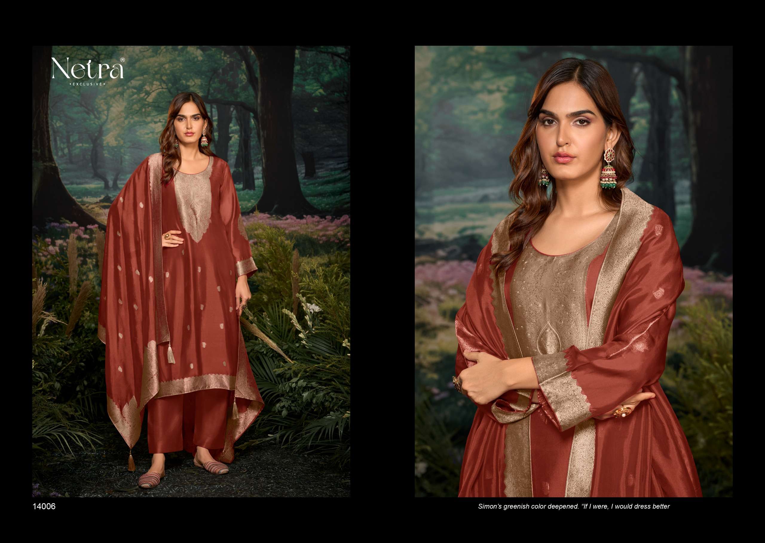 netra by tareef 14001-14006 series digital print with material latest catalogue collection surat gujarat 