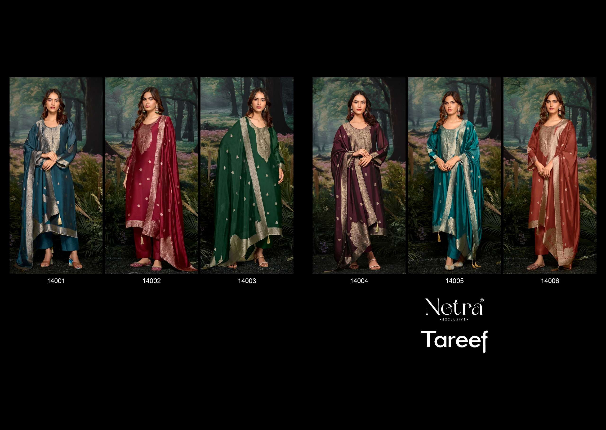 netra by tareef 14001-14006 series digital print with material latest catalogue collection surat gujarat 