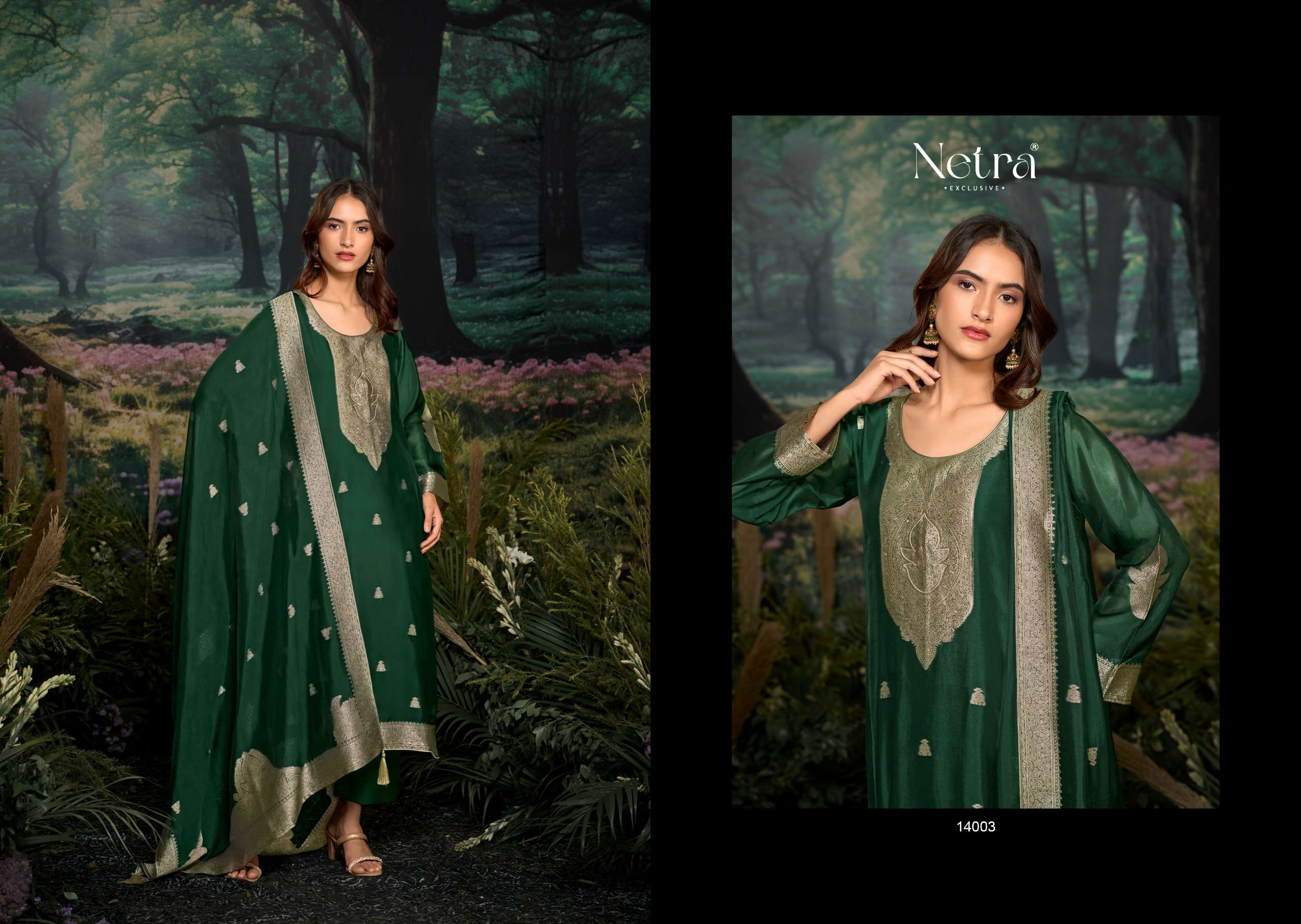 netra by tareef 14001-14006 series digital print with material latest catalogue collection surat gujarat 